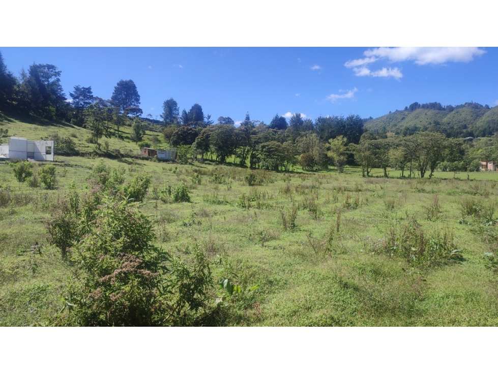 lote, terreno en venta Rionegro Antioquia 38.000 m2