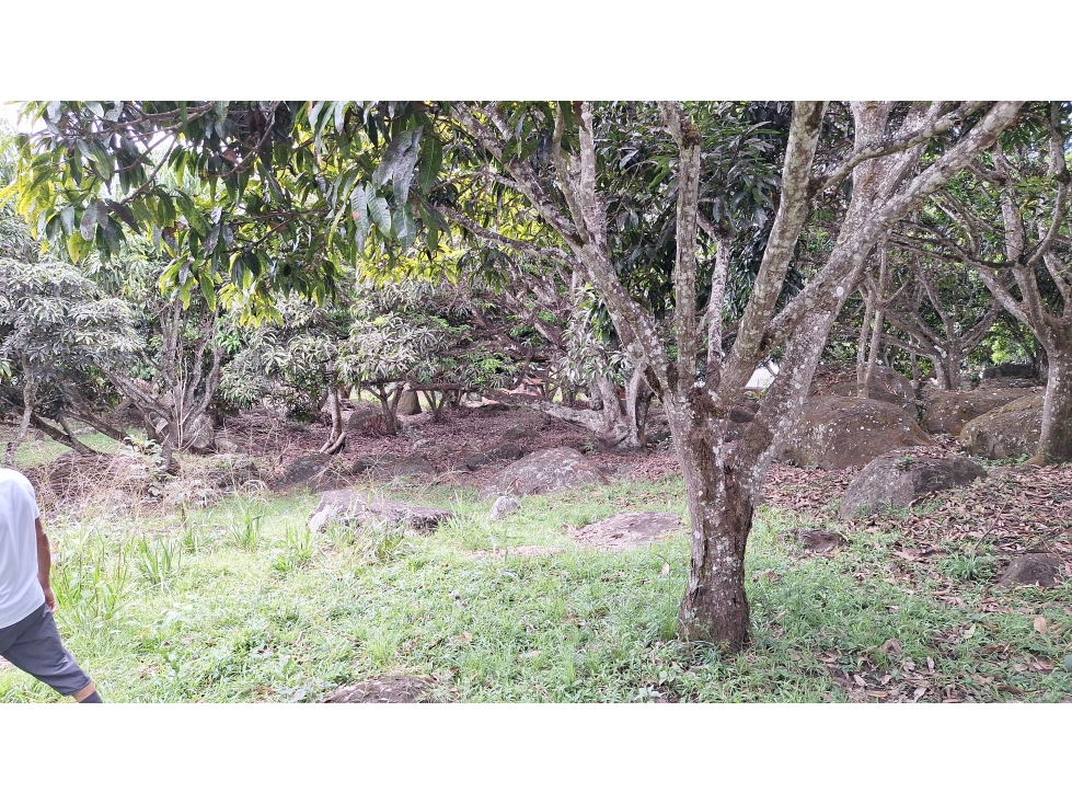 Lote terreno rural en Anapoima via Mesitas Apulo