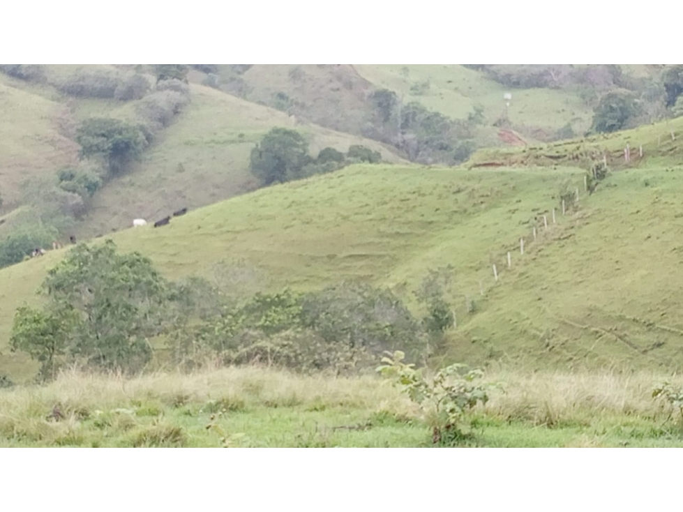 Se vende Finca Trujillo - Valle del Cauca